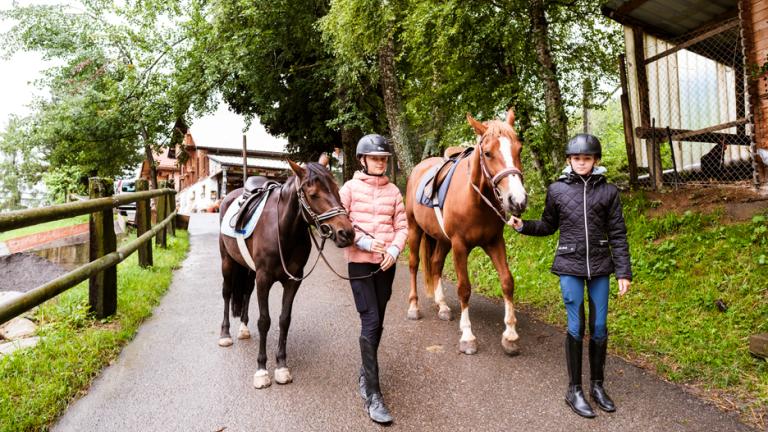 kaplan-summer-camp-alpadia-leysin-premium-activity-horse1